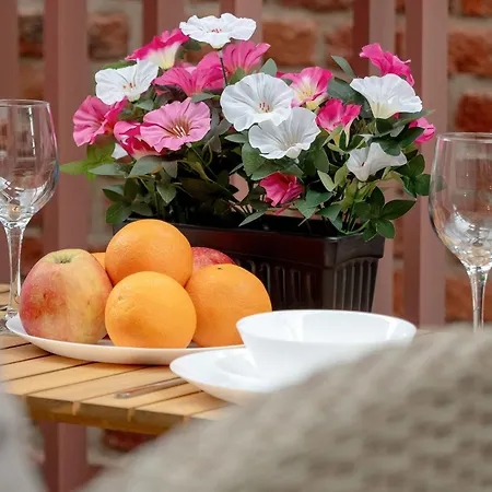 Charming Pet-friendly With Terrace By Renters